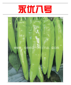 永優(yōu)八號(hào)